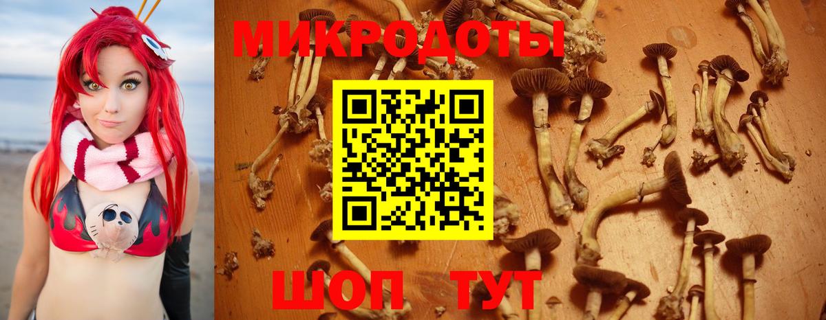 Галлюциногенные грибы GOLDEN TEACHER  Псилоцибиновые грибы прущие грибы  Протвино  Вход с VPN 
